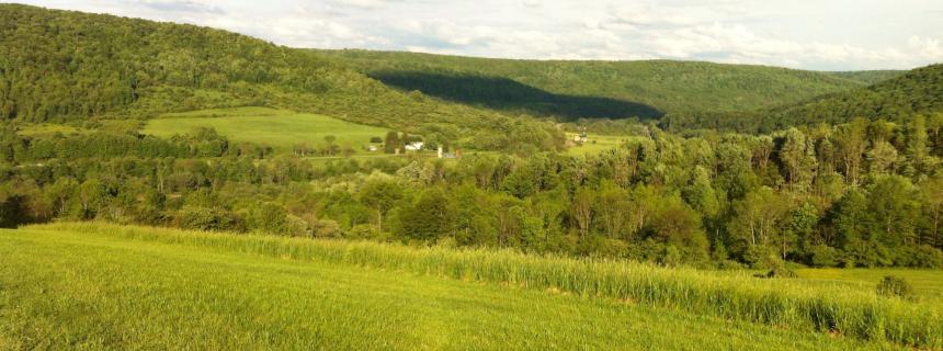 Ellicottville 2013